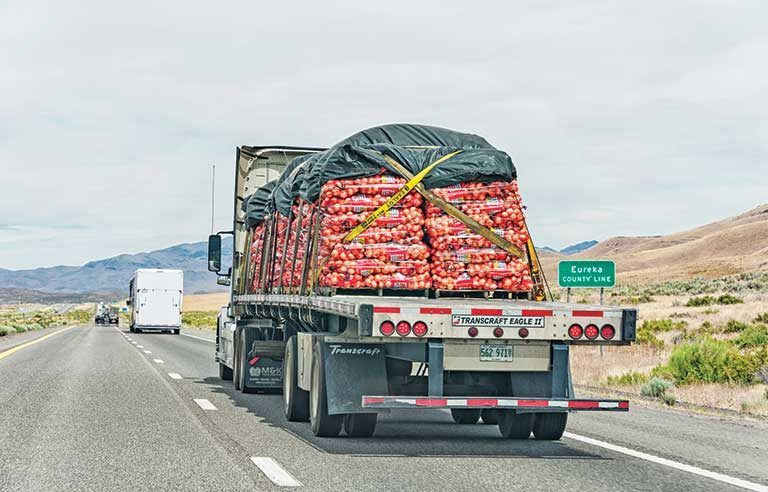 rear of semi truck