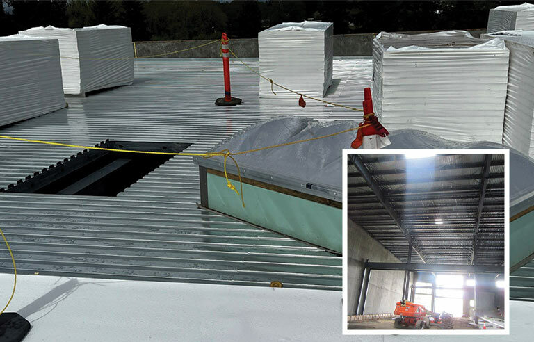RooferSkylightFall