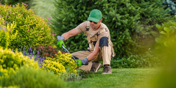 a gardener