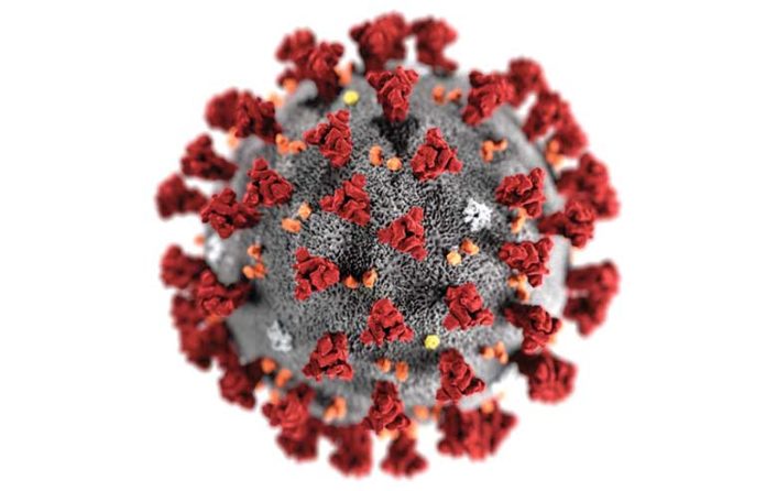 virus